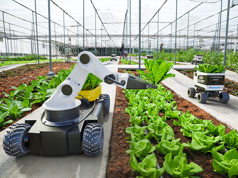 robotic-applications-we-serve